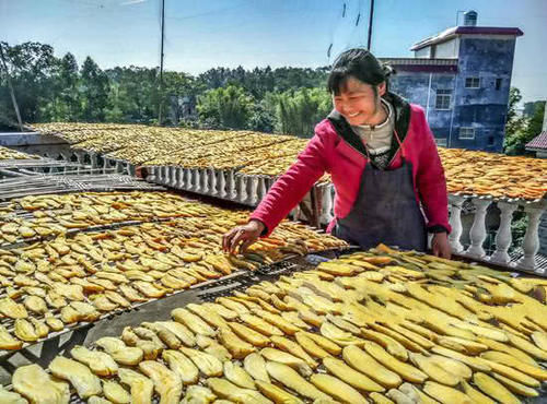  电商|已过大半年，没事干的农民不妨干这几类工作，年赚8万轻而