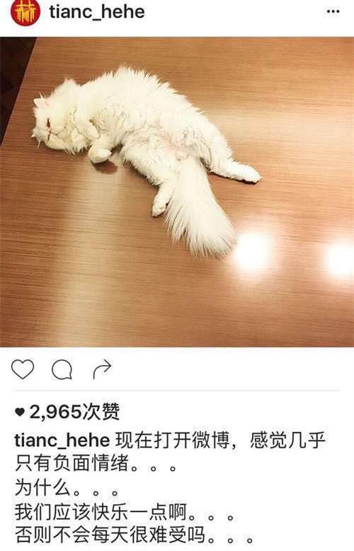 陈赫发文指责网络负面情绪，网友：孩子无辜，你是真渣