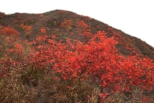 这里真是了不得，大山里原生态的古村落，北京最美的乡村之一！