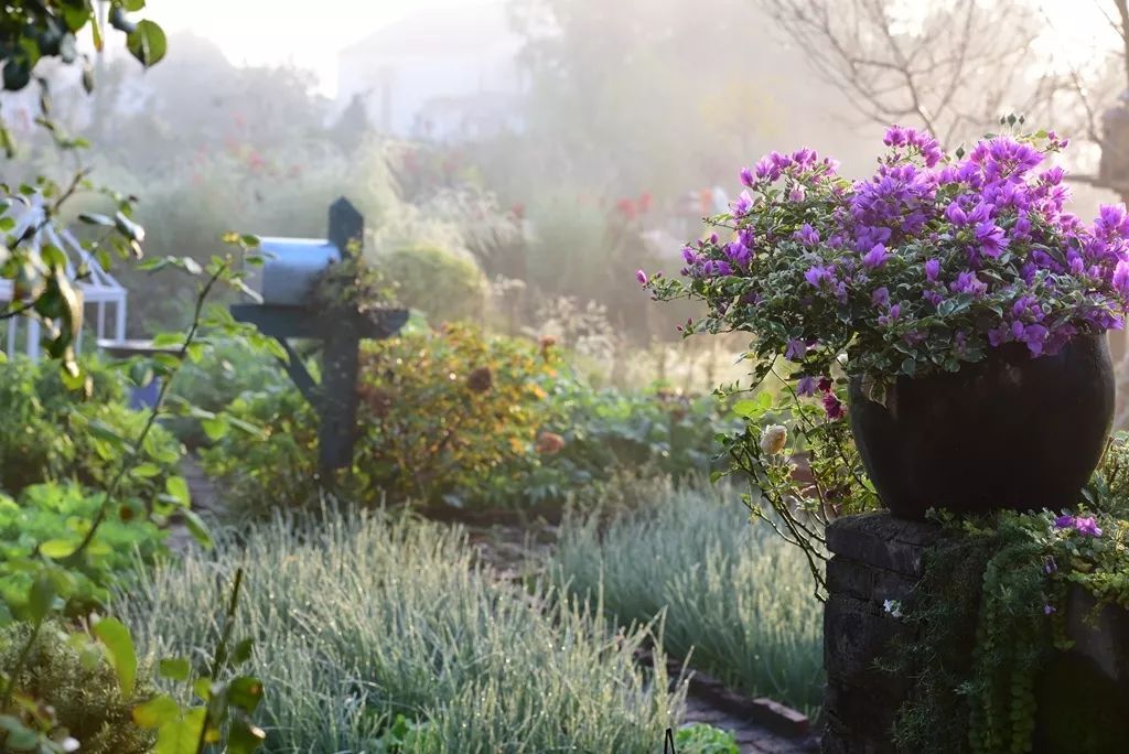 40岁高薪夫妇提前退休,造3000㎡花园惬意养老,还有酒坊!