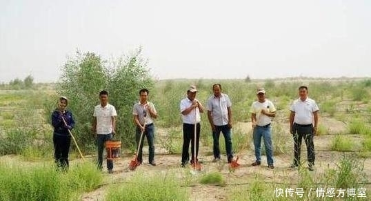 中国“超级”工程，30万亩沙漠成绿洲，印度：没有我们中国做不到