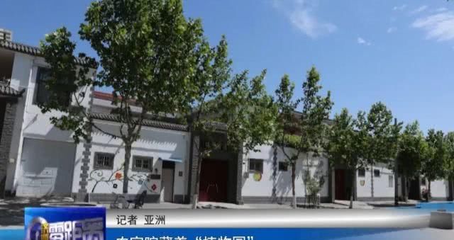  「蔡红超」高手在民间，北水屯的这个大哥把“植物园”搬到了自己家