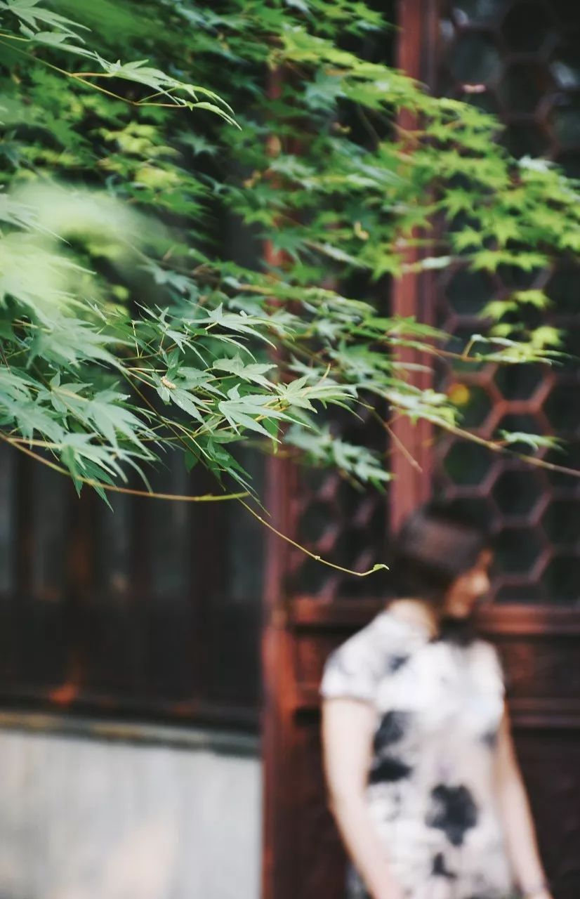 这才是我想要的安逸慢城！愿遇一人白首，择此城终老~