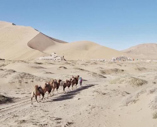 藏在沙漠里的古寺,距今已有百年历史,目前只有一位僧人