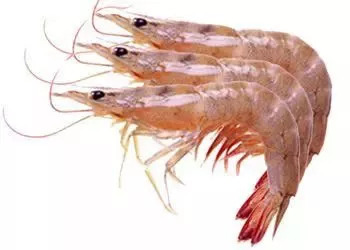 【辟谣】食物相克??NO!看这里?