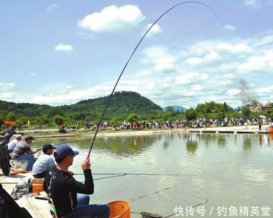  『给出』给塘主交学费，看别人爆护？为什么要去黑坑钓鱼，我给出三点理由