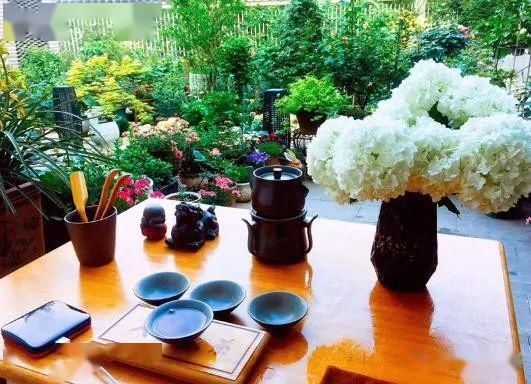  「老伴」当我老了，就想和老伴一起回乡下，庭前种花，屋后种菜