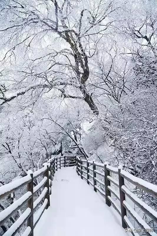 昨天洛阳雪后，一大波美景曝光