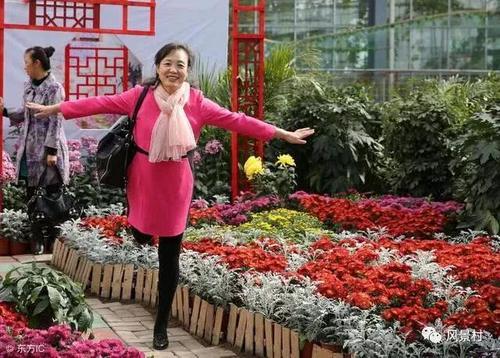 如何避免旅游报团游中的陷阱？资深导游告诉你旅游界内幕！