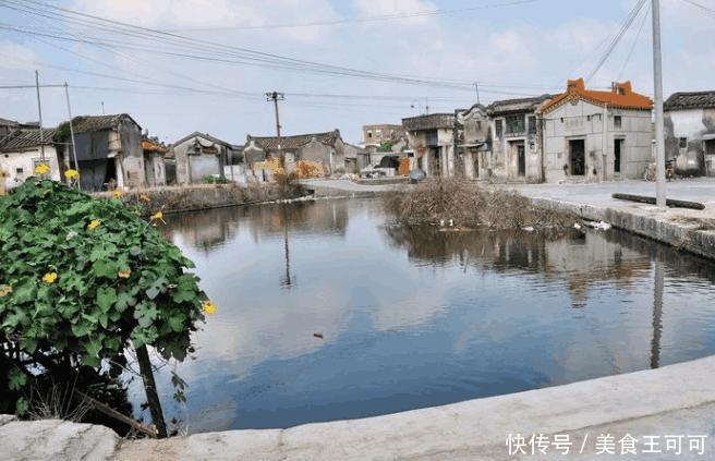 广东第一村, 人口数量接近一个县, 当地建立了8
