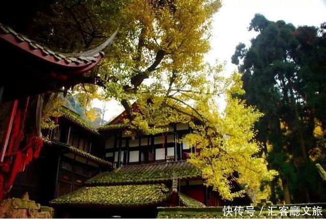 10处绝美秋季自驾打卡地,开车去看最美的风景