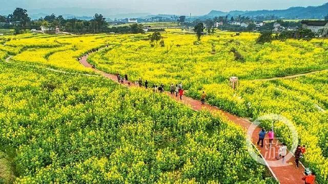 暖春花开香百里 乡村发展正当时【2020热门旅游景点】