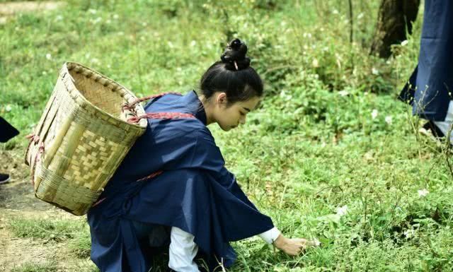 如何像李子柒一样火爆朋友圈？这一组绝美照片会给你答案！