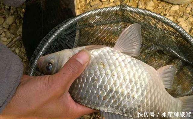 「管理费」水库征收环境管理费,能否被钓鱼人接受钓友不合理!