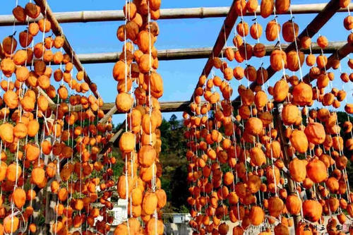 比宏村人少,比篁岭更美!浙江周边藏着一座隐世小村落,拥有最撩