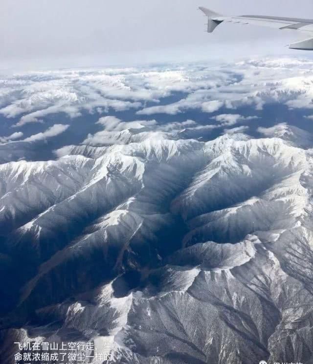 大美新疆，上眼胡杨