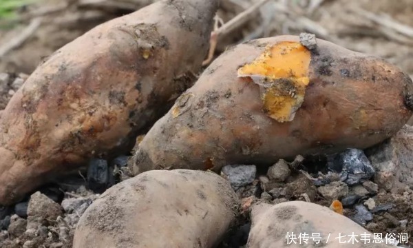  香甜@原来保存红薯这么简单，放半年不干瘪不发芽，越放越香甜！