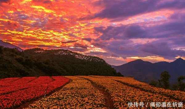 中国最美海滨城市，并非三亚，而是浪漫的它猜对没