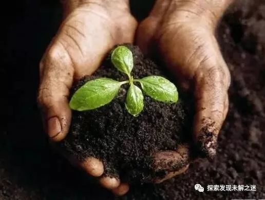 中国的30个世界第一 作为国人不可不知