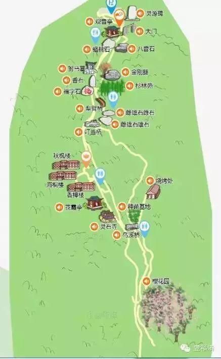 福清樱花太美！春节不用去日本在这里就可以看见大片樱花园~