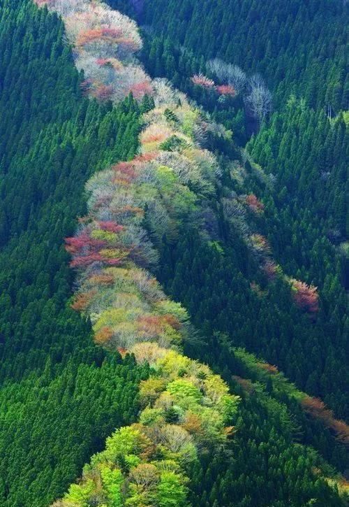  「绝世」宇宙上的绝世美丽风景！