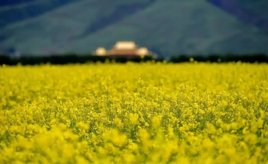 它只是川西的一个小镇！论美却惊艳整个四川！