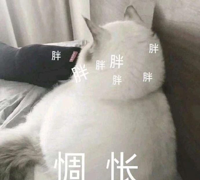 躲避@无法躲避，始料不及！疼！这个是真的疼啊！不是装的
