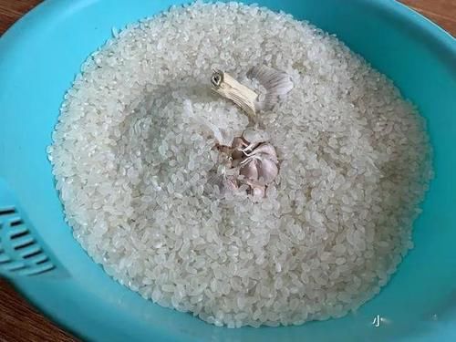  实用@刚知道，保存大米原来这么简单，放1年不生虫不发霉，太实用了