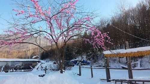 四处发威！将涉及多个地方，2019年雨雪“揭幕战”将要到来？