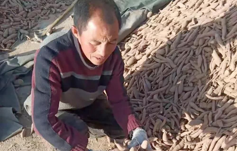  眼神：30万斤找不到销路，已扔掉上万斤烂果，无助的眼神让人想