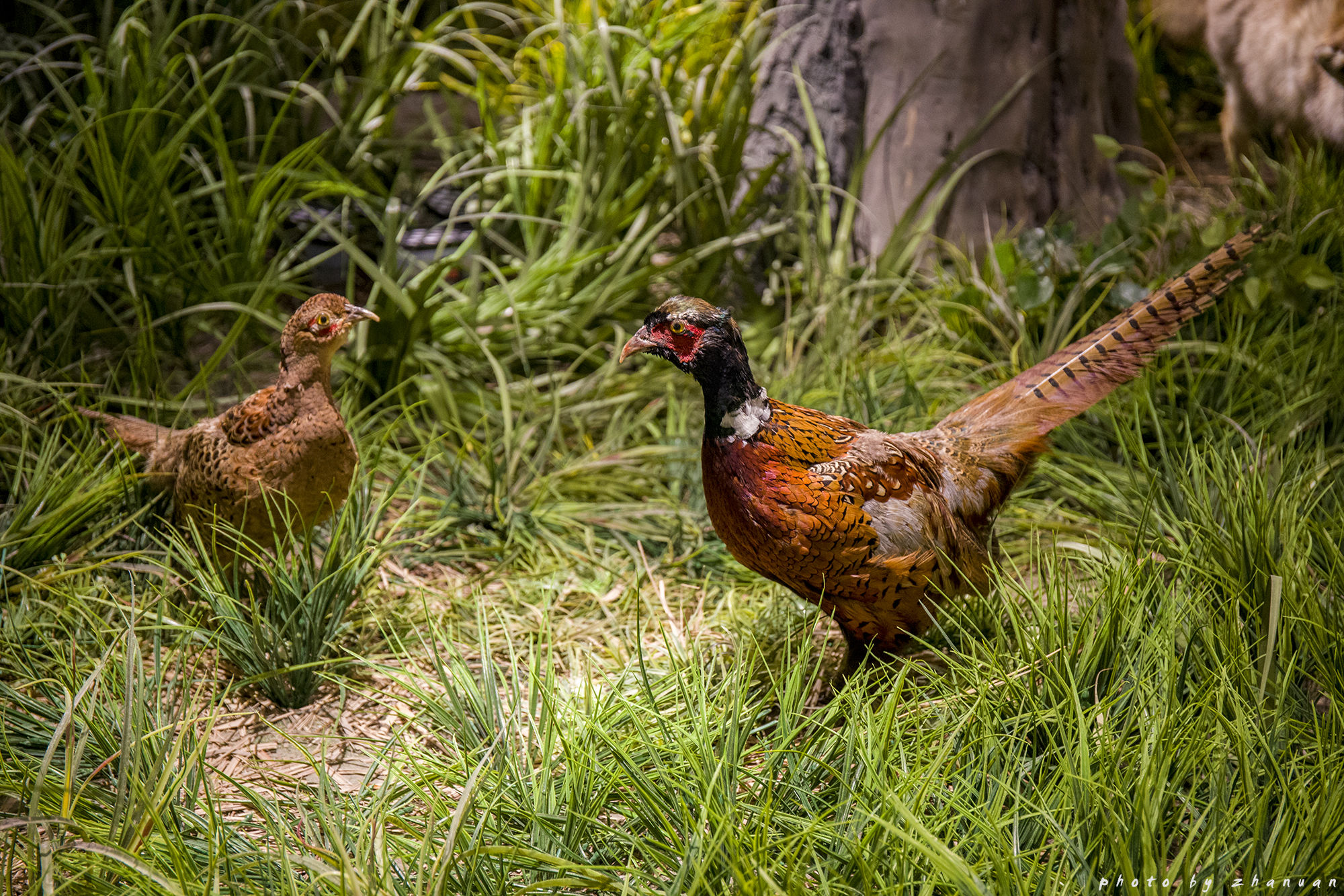 东营丨走过沧海桑田，终是在芦花飞雪的秋日遇见你