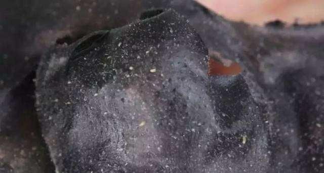 市面上那么多去黑头的产品，快来看看你用的是哪类？