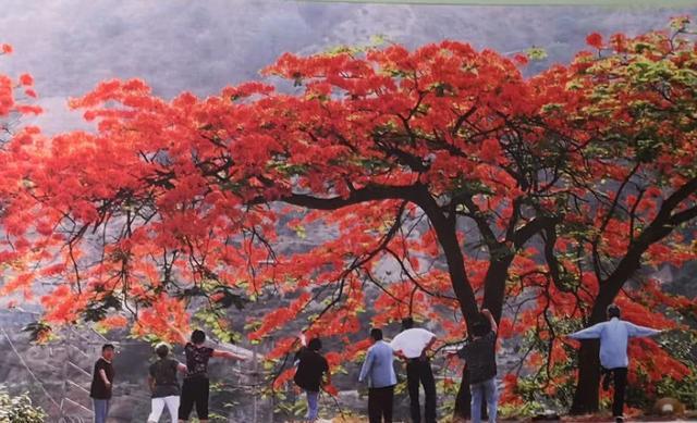 这里才是四川最舒适的地方,还是全省最有钱的4线城市,不是成都