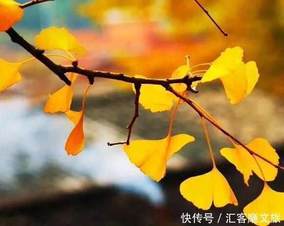 9处适合深度游7天的旅行地,带你收获全国最美的秋景