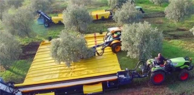 德国机械有多牛？采摘水果全用机器，一天可抵50个果农！