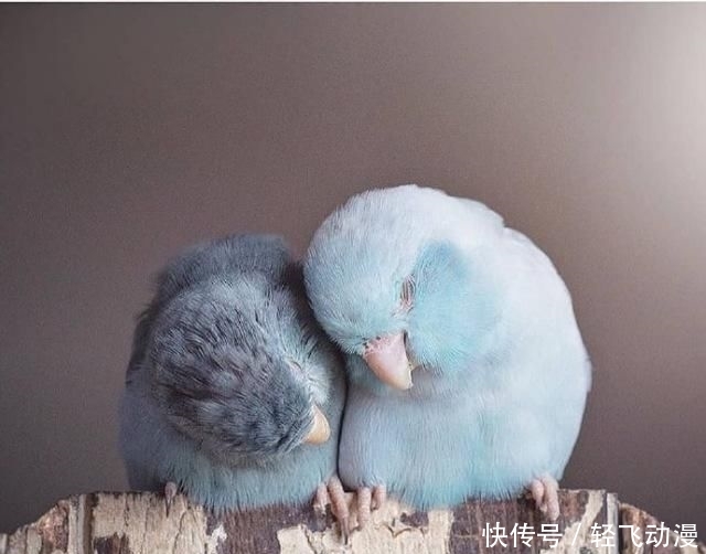 【撩心】情话最撩心短句,说给你最爱的人听吧