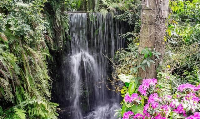 「广州」华南实力最强的中心城市,四季开满鲜花,有望成为下一个上海