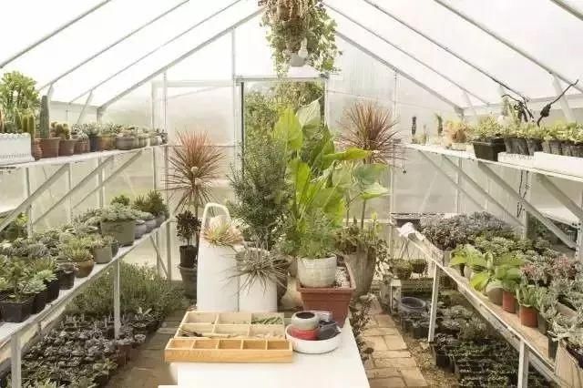  『花房』你在梦想有一个花房的时候，别人家的姑娘已经用一亩地实现了