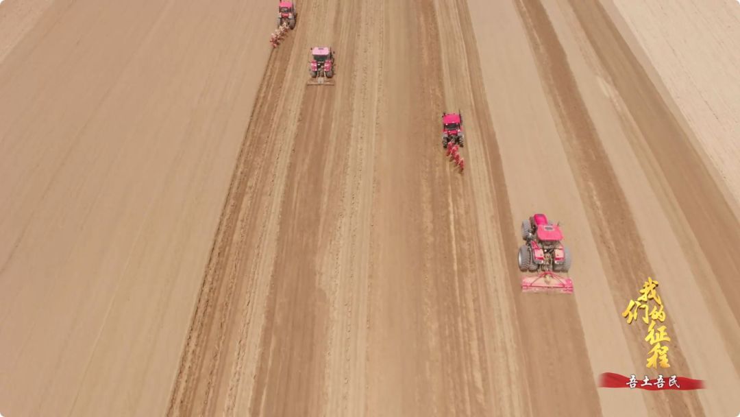  「创造奇迹」中国碗里装满中国粮！看，这片神奇的土地如何创造
