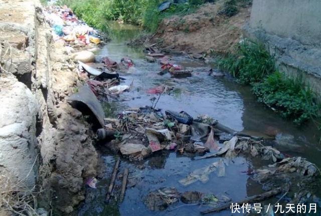 农民注意，这4件事最好别再触犯了，不然的话村干部也帮不了你