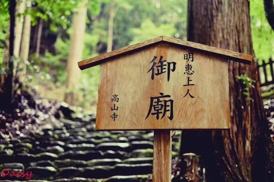 去过最频繁的地方其实是日本，这