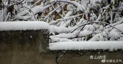  [已有]下雪啦！除了黄陂清凉寨，湖北这些地方已有积雪