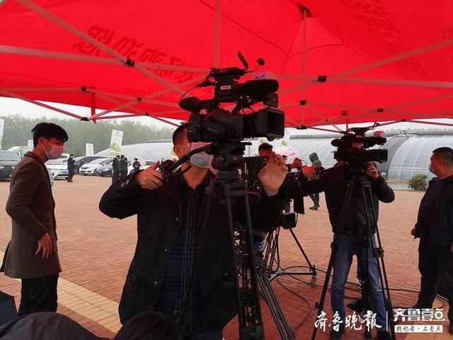 章丘@章丘高官寨甜瓜熟了!到大棚里看看尝尝甜到心里