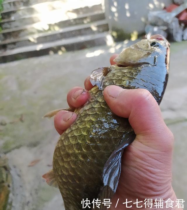 轻重@浅谈手竿台钓铅坠轻重与抛竿的关系