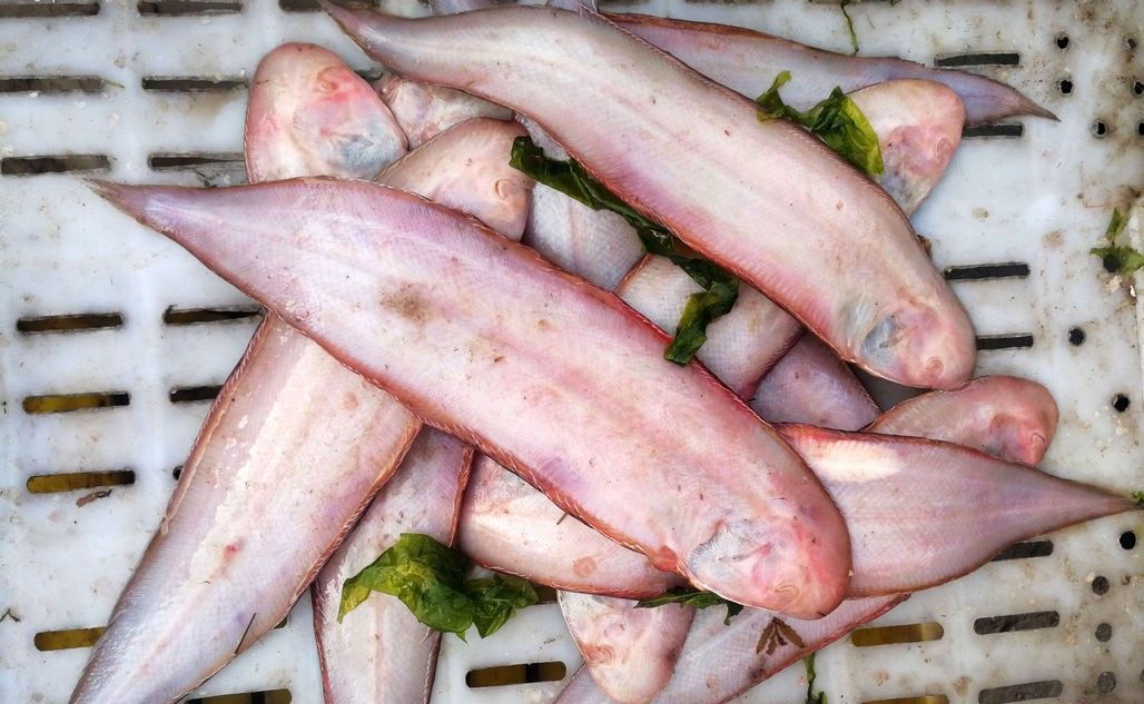 梭子蟹、皮皮虾引领菜市场海鲜新潮 新鲜海鲜替代冰冻成主流