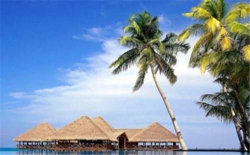  #北方人#为什么近几年冬天，北方人去海南的比例大幅降低，反而