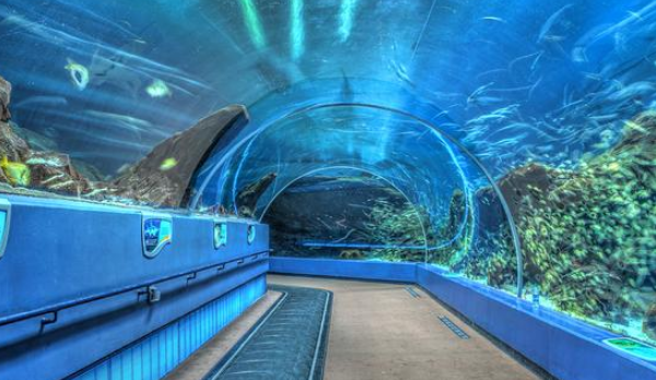 世界上最大的水族馆：安检比机场还严，里面住着世界最大的鱼类！