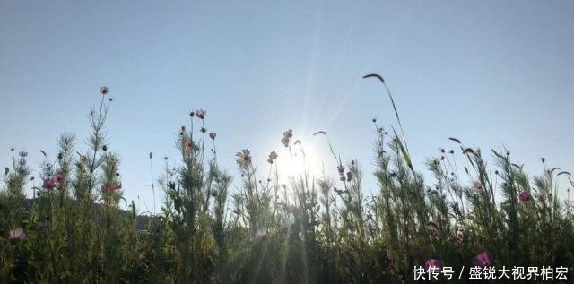 云台山踏秋——立秋后的那一抹姹紫嫣红