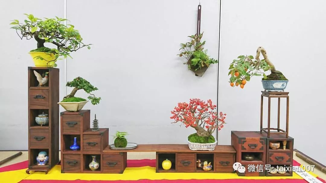 微盆景:把玩古朴的雅趣