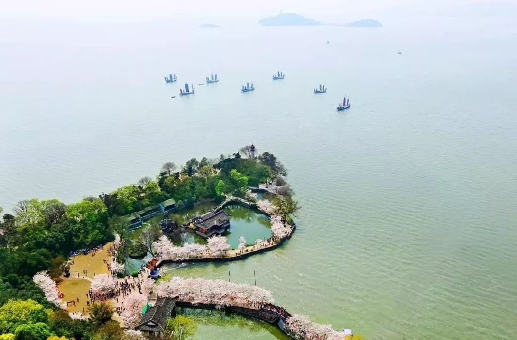 到无锡鼋头渚参加樱花节：让世界三大赏樱胜地之一给你个明媚春天